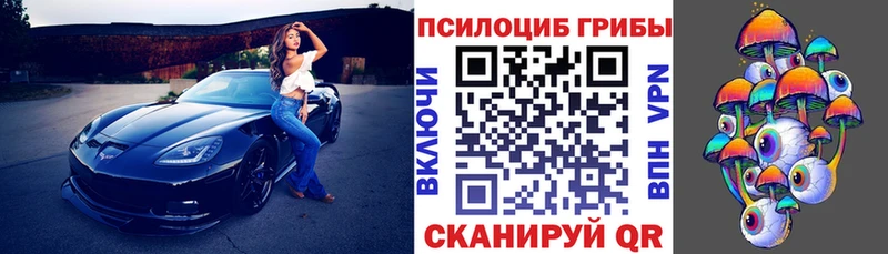 Псилоцибиновые грибы GOLDEN TEACHER  shop клад  Мышкин 